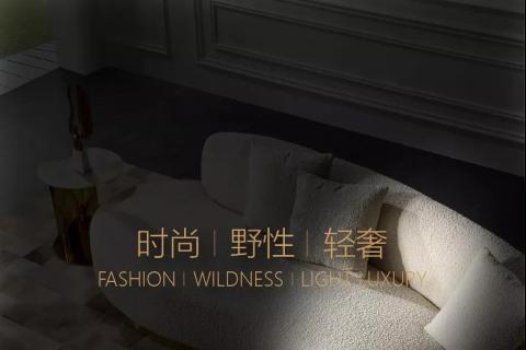 黛柏睿D'ARTE | 初战告捷 未来可期